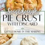A fully baked pie, with a bottom frame of a ball of sourdough pie dough.