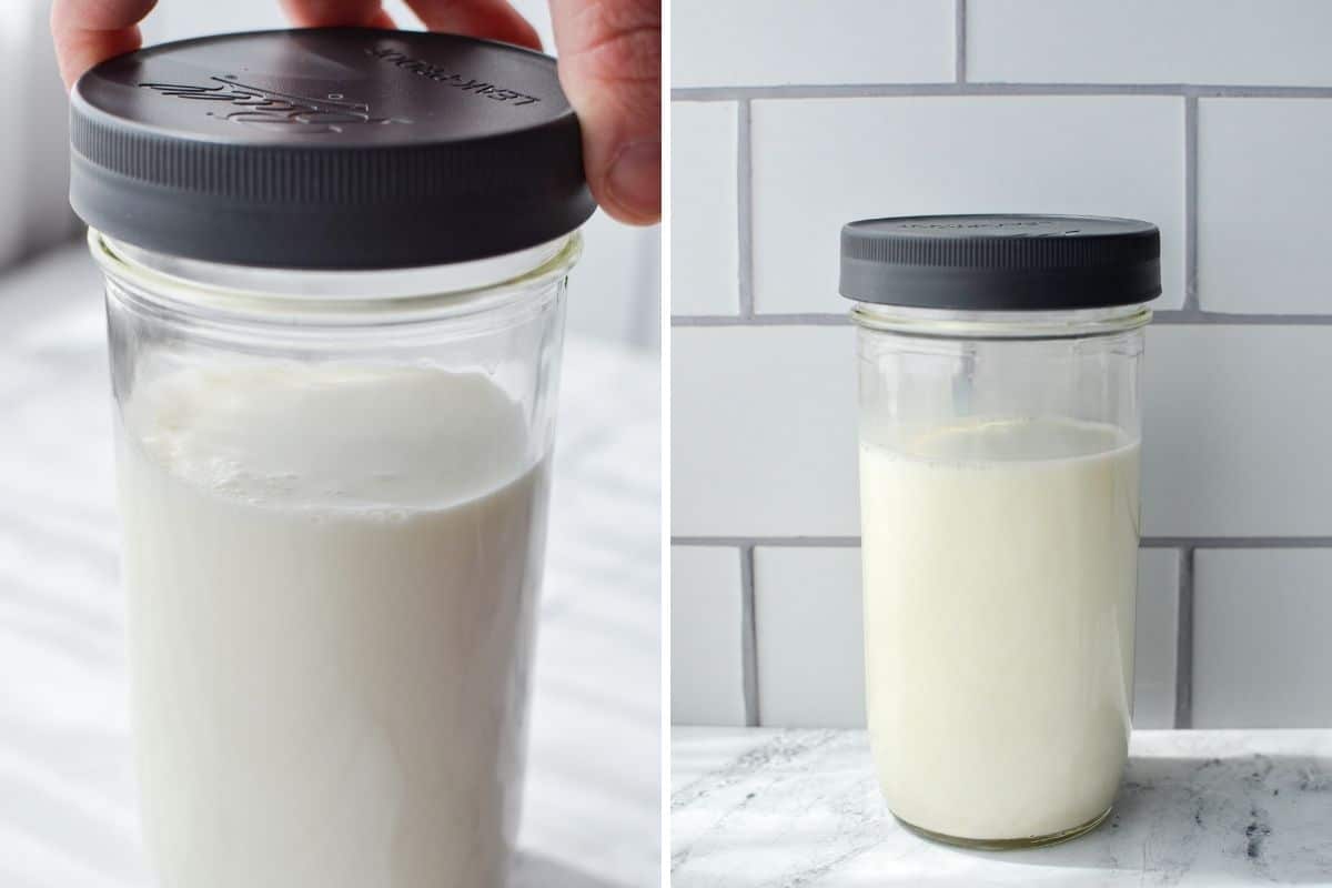 Adding a lid to a large glass jar of kefir culture and allowing it to rest on the counter.