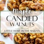 A small bowl of overflowing candied walnuts.