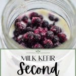 A jar of kefir with frozen wild blueberries added in.