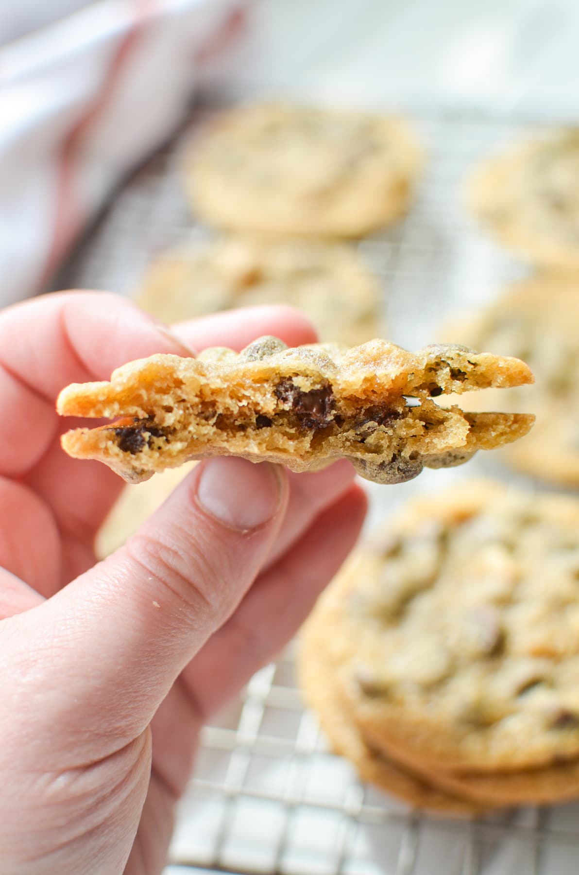 A close up of a chocolate chip cookie, folded in half.