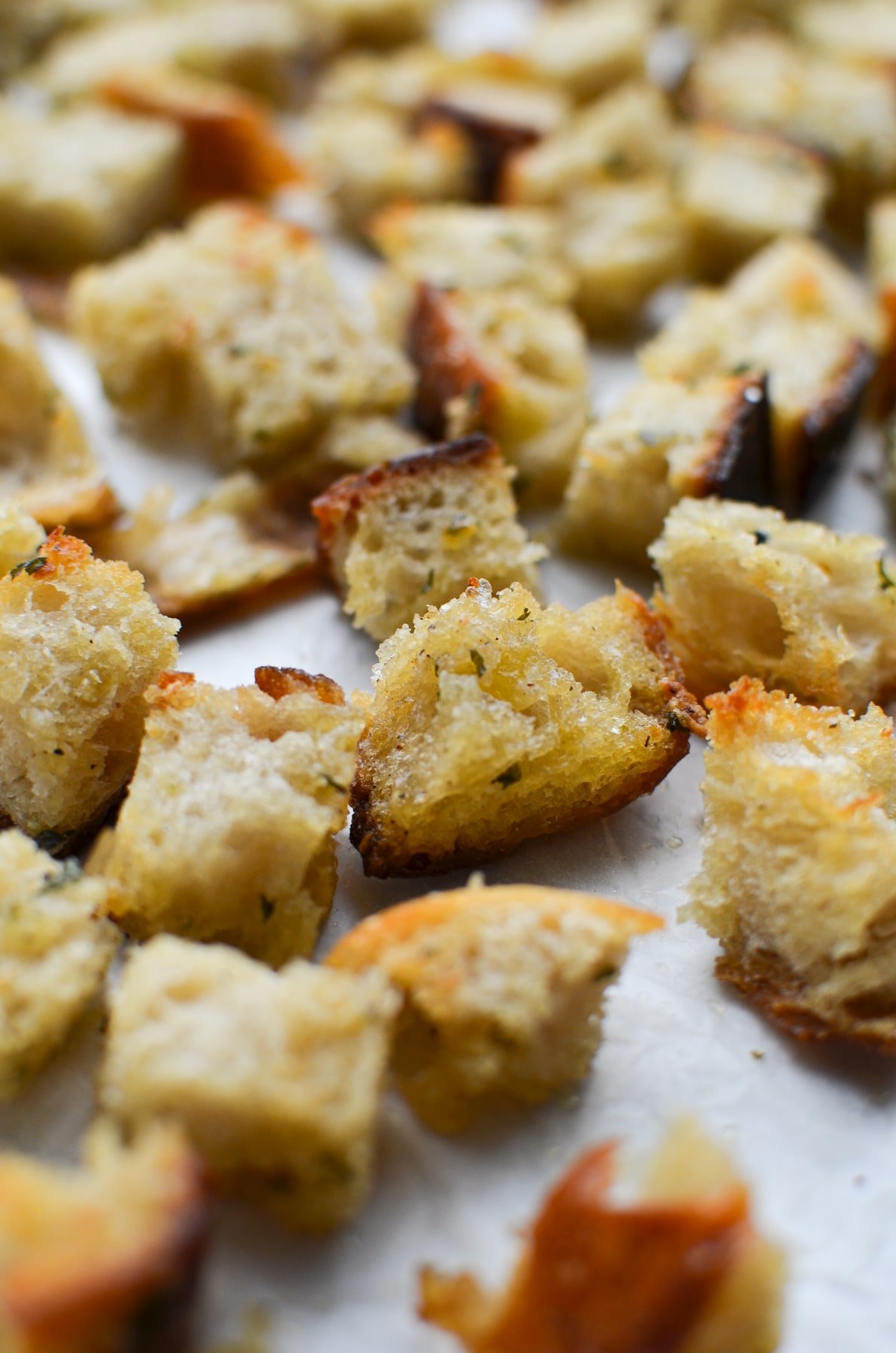 Sourdough croutons on a parchment lined baking sheet.