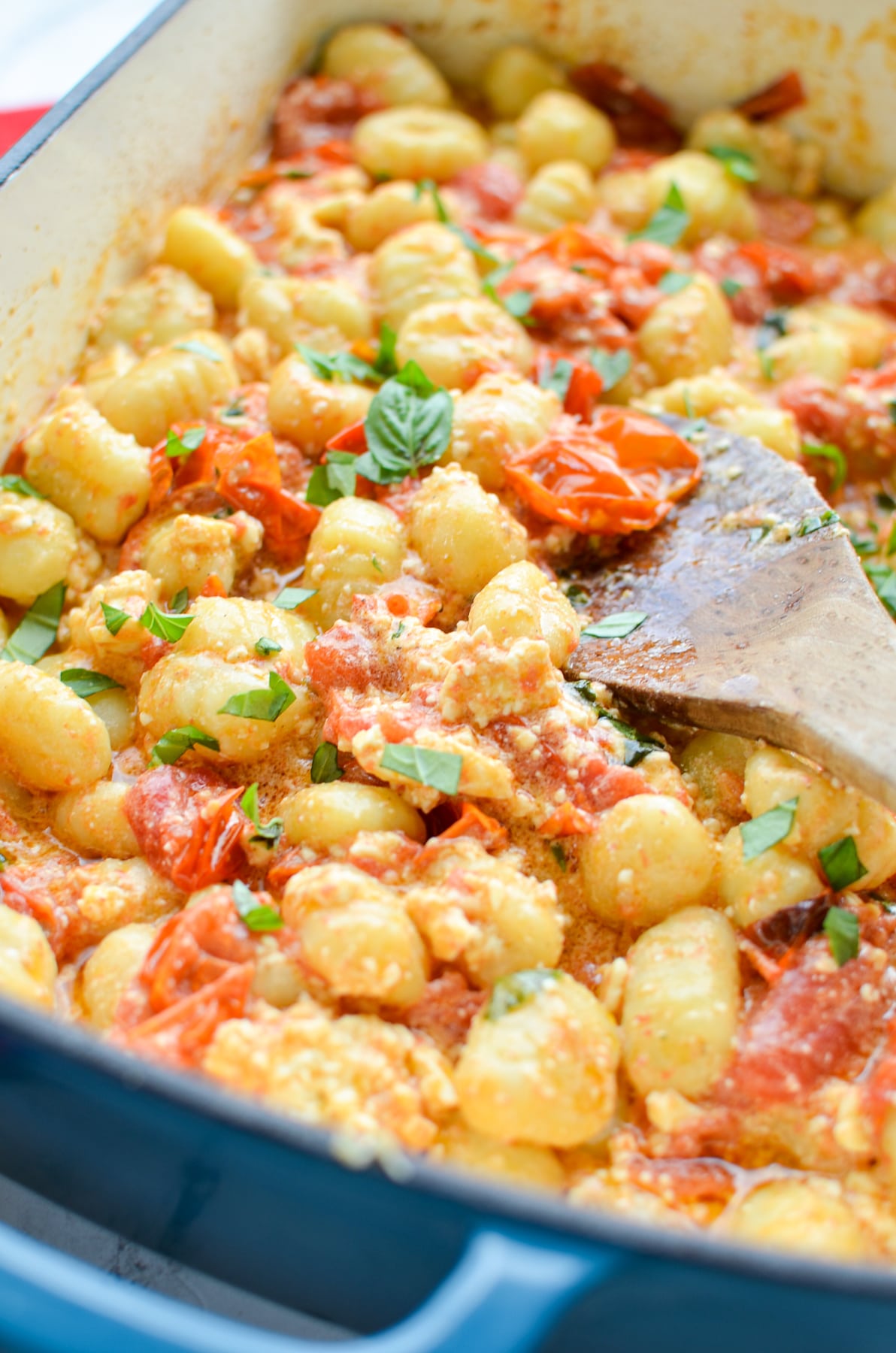 A close up of a dish of gnocchi pasta tossed with a cherry tomato and basil sauce.