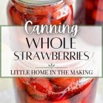 Jars of strawberries that have been preserved via canning.