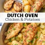 A Dutch Oven with chicken and potatoes.