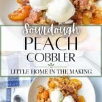 A bowl of peach cobbler, served with scoops of vanilla ice cream.