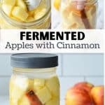 Adding apples to a jar and fermenting it.