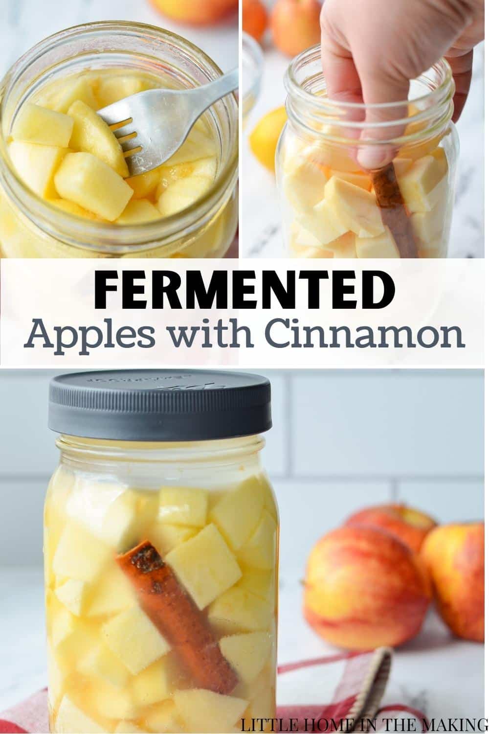 Easy Fermented Apples (Probiotic Rich) Little Home in the Making