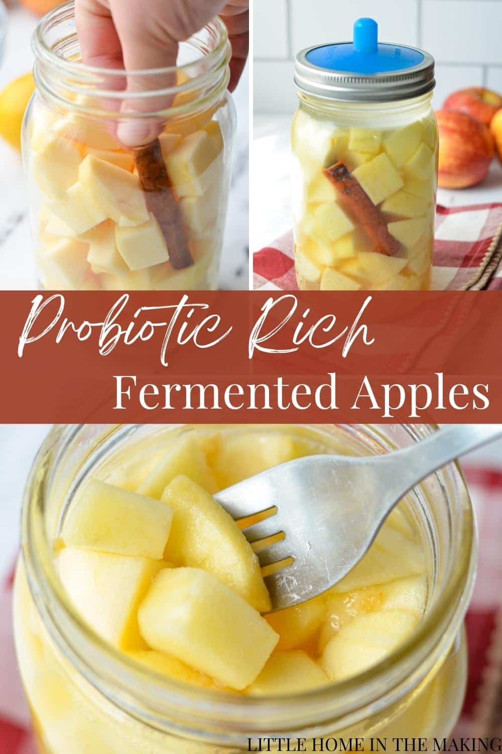 Easy Fermented Apples (Probiotic Rich) Little Home in the Making