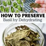 Drying basil leaves in a dehydrator or oven.