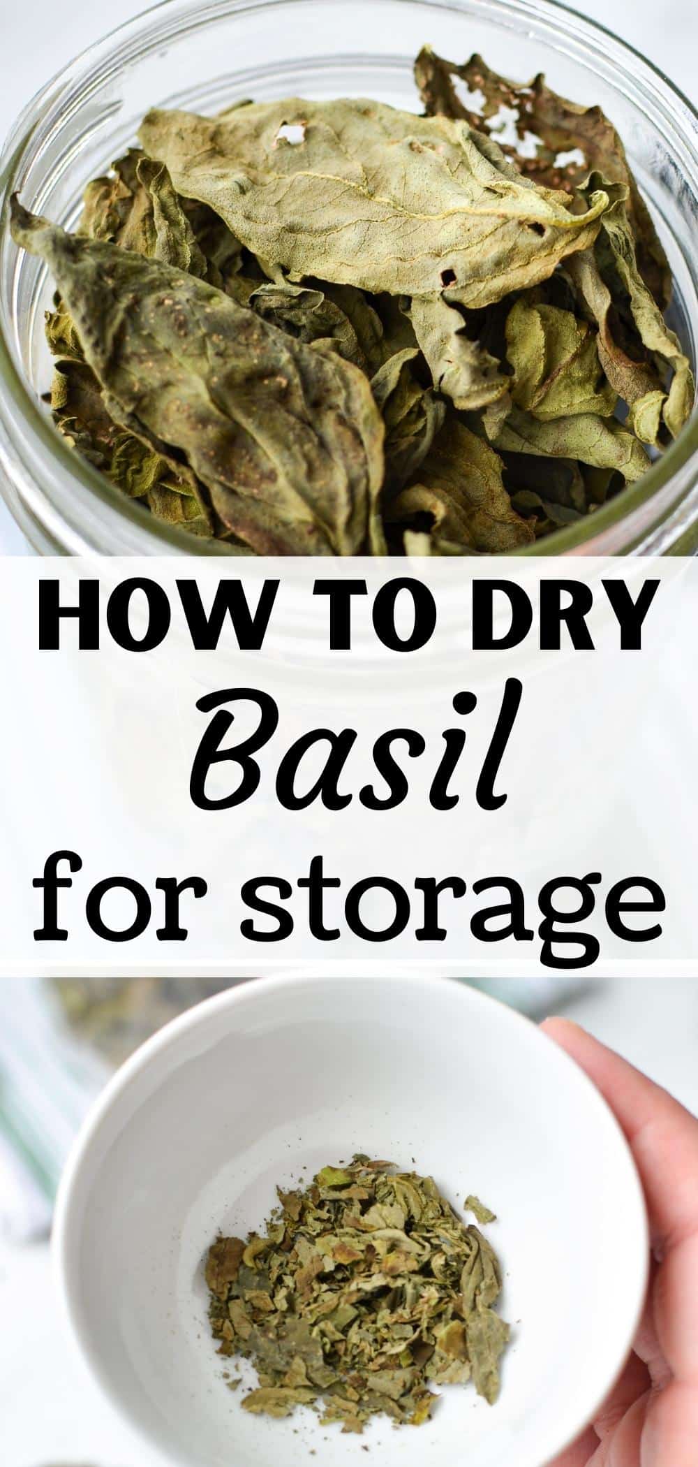How to Dry Basil (Dehydrator or Oven) Little Home in the Making