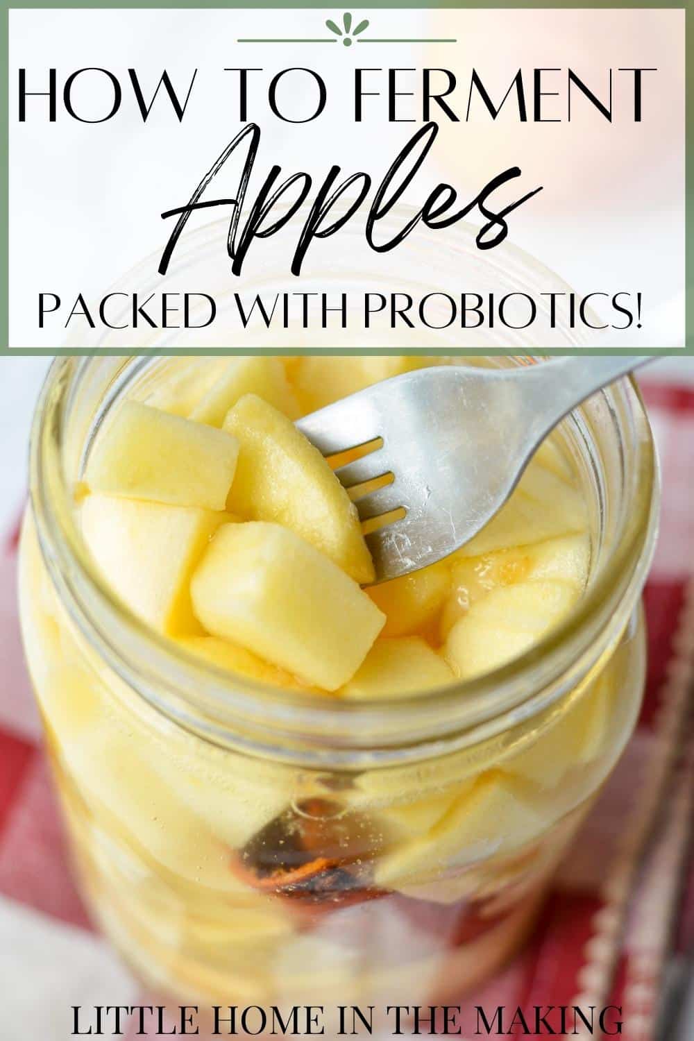Easy Fermented Apples (Probiotic Rich) - Folk Kitchen (Little Home in ...