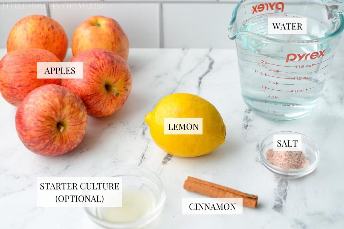 The ingredients needed to make fermented apples: apples, lemon., water, cinnamon, starter culture, and salt.