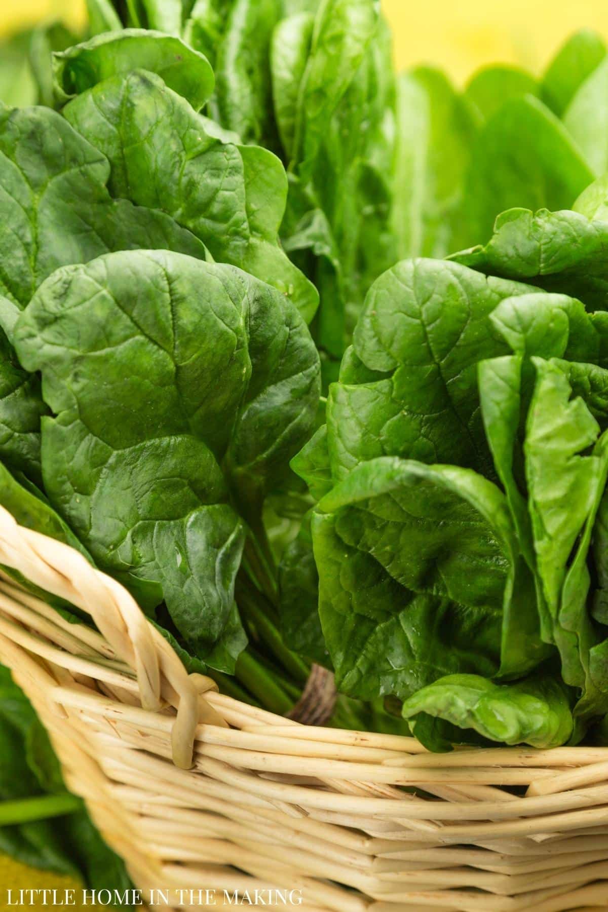 A basket filled with spinach