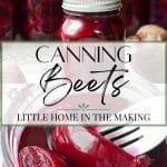 A jar of pickled beets with a fork removing a piece.