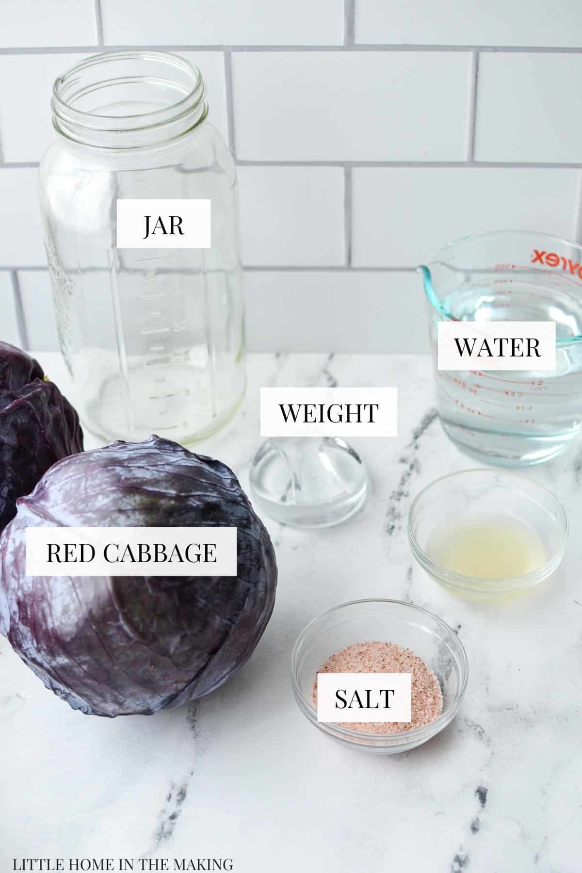 The ingredients and tools needed to make sauerkraut - cabbage, salt, jars, water, weights, and starter culture (optional).