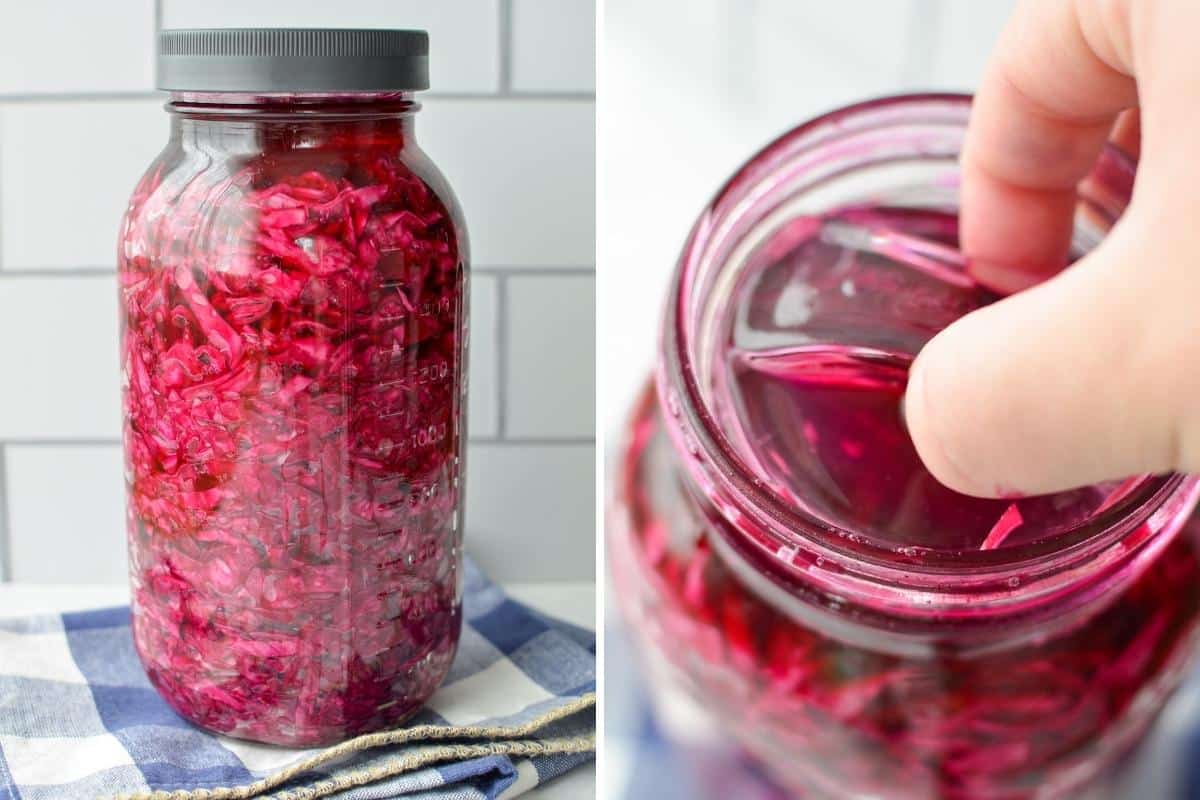 A final shot of fermented red cabbage.