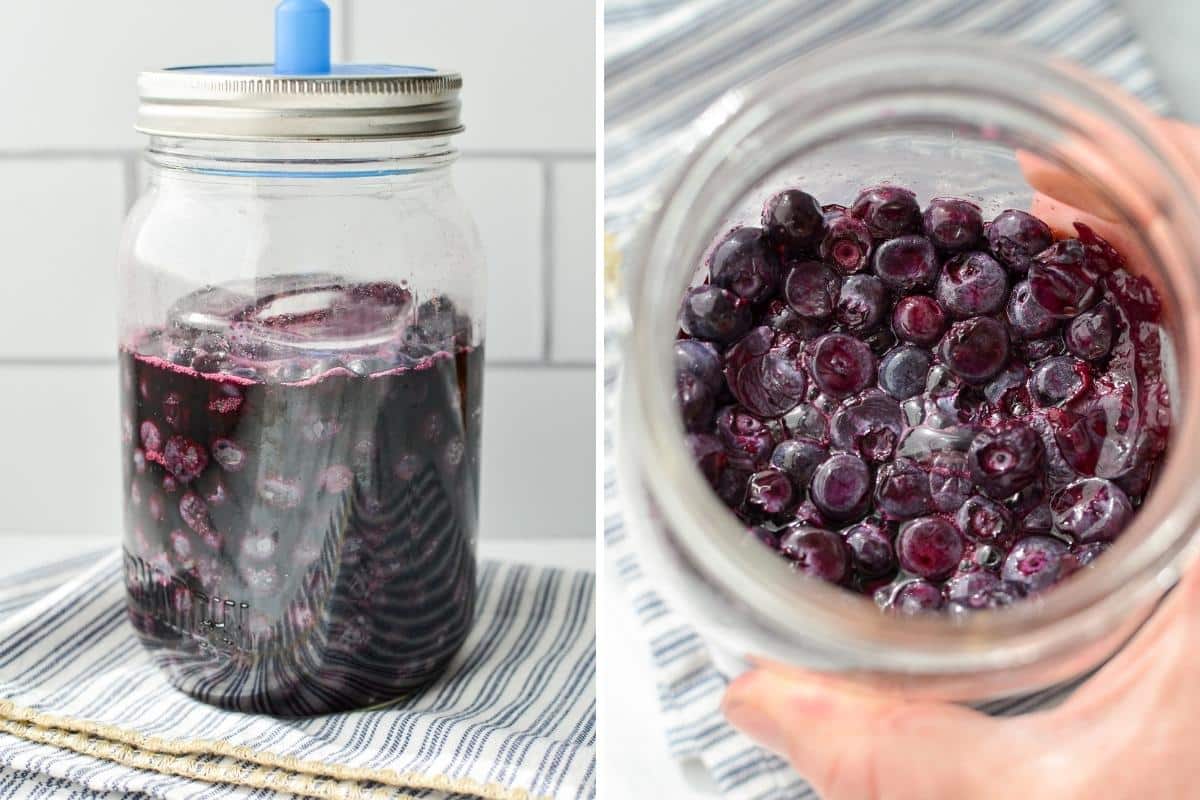 Blueberries after they have been fermented - soft and purple.