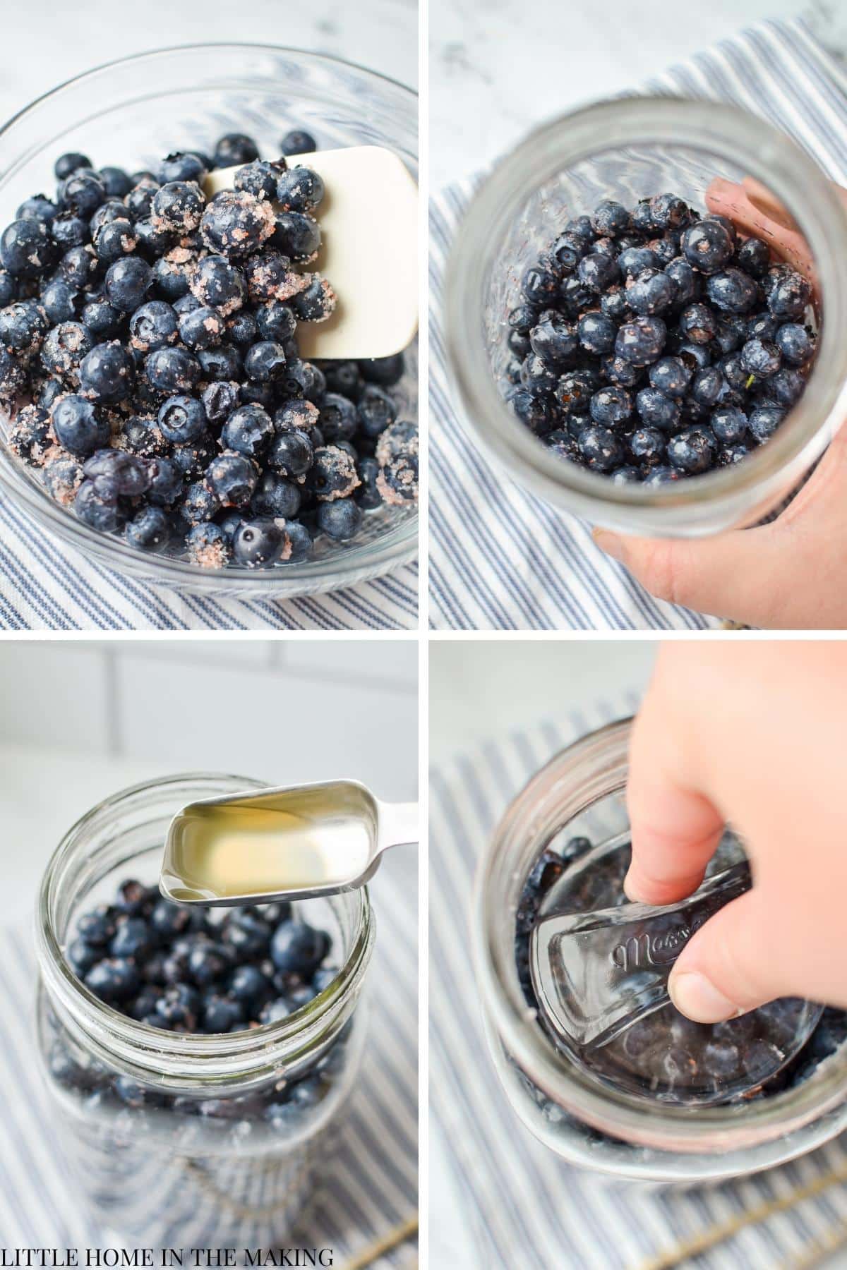 Adding salt and starter culture to blueberries.