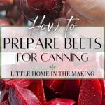 Cutting beets into pieces.