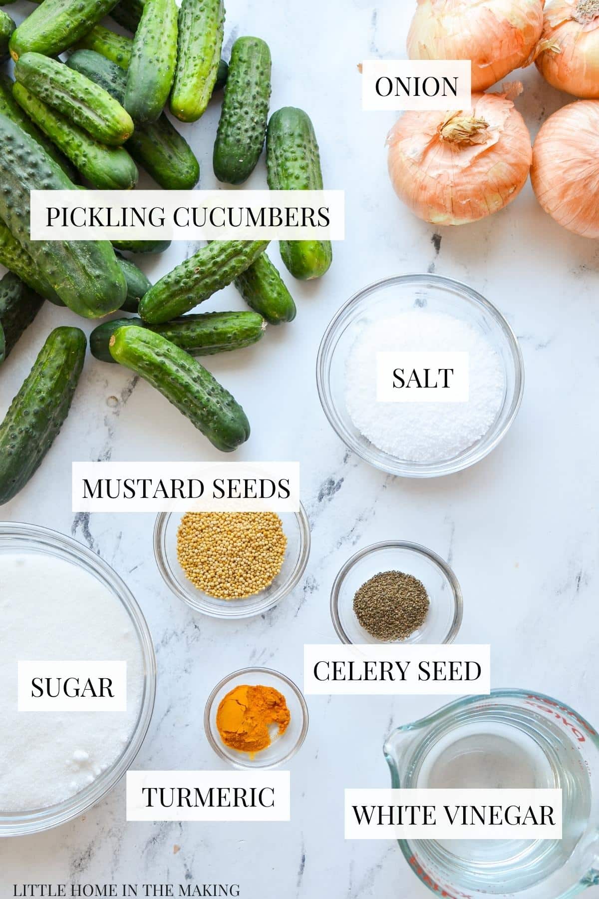 The ingredients needed to make homemade pickles: spices, onion, cucumbers, salt, vinegar, and sugar.