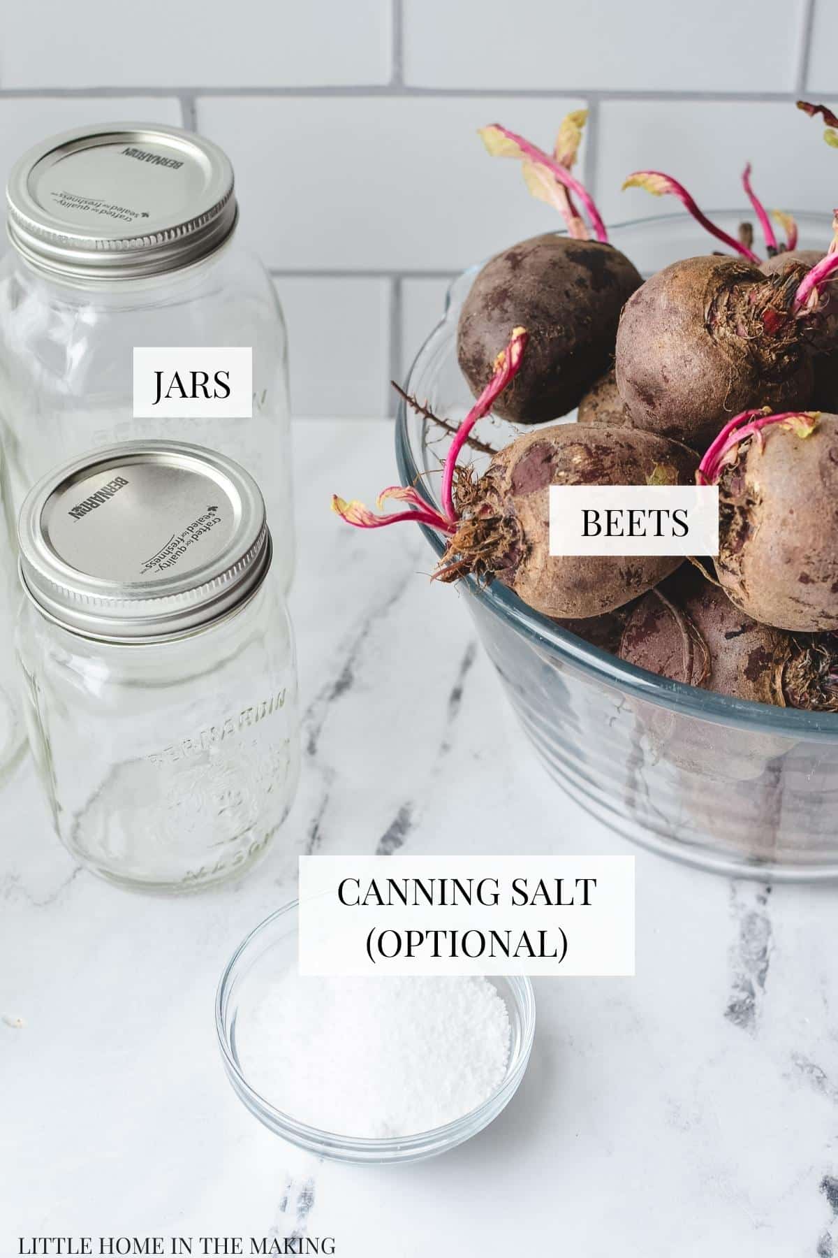 The ingredients need to can beets: jars, salt, water, and beets.