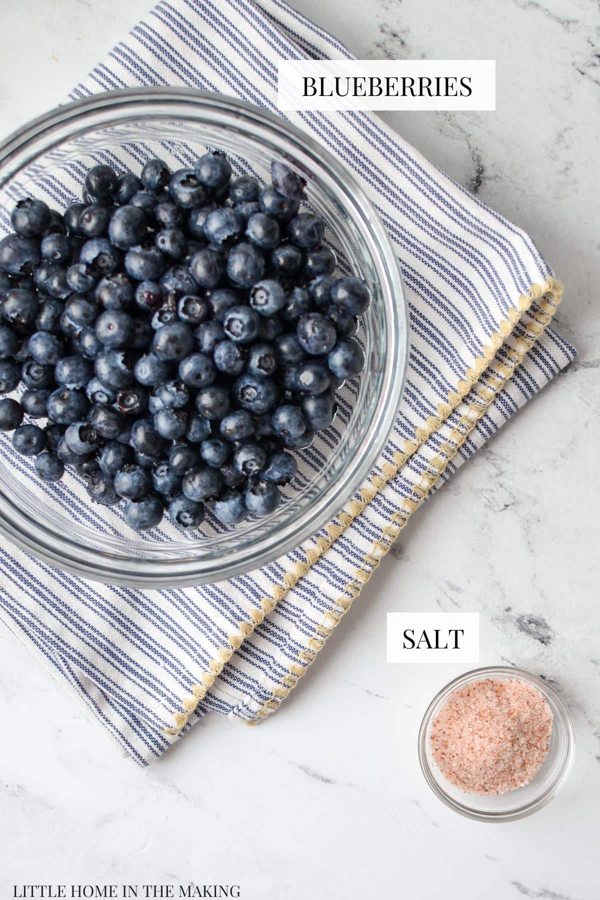 The ingredients needed to make fermented blueberries: fresh blueberries and salt.