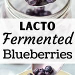 A spoonful of fermented blueberries.