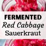 A fork lifting a portion of homemade red sauerkraut.