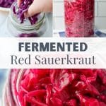 Adding shredded cabbage to a jar to ferment into sauerkraut.