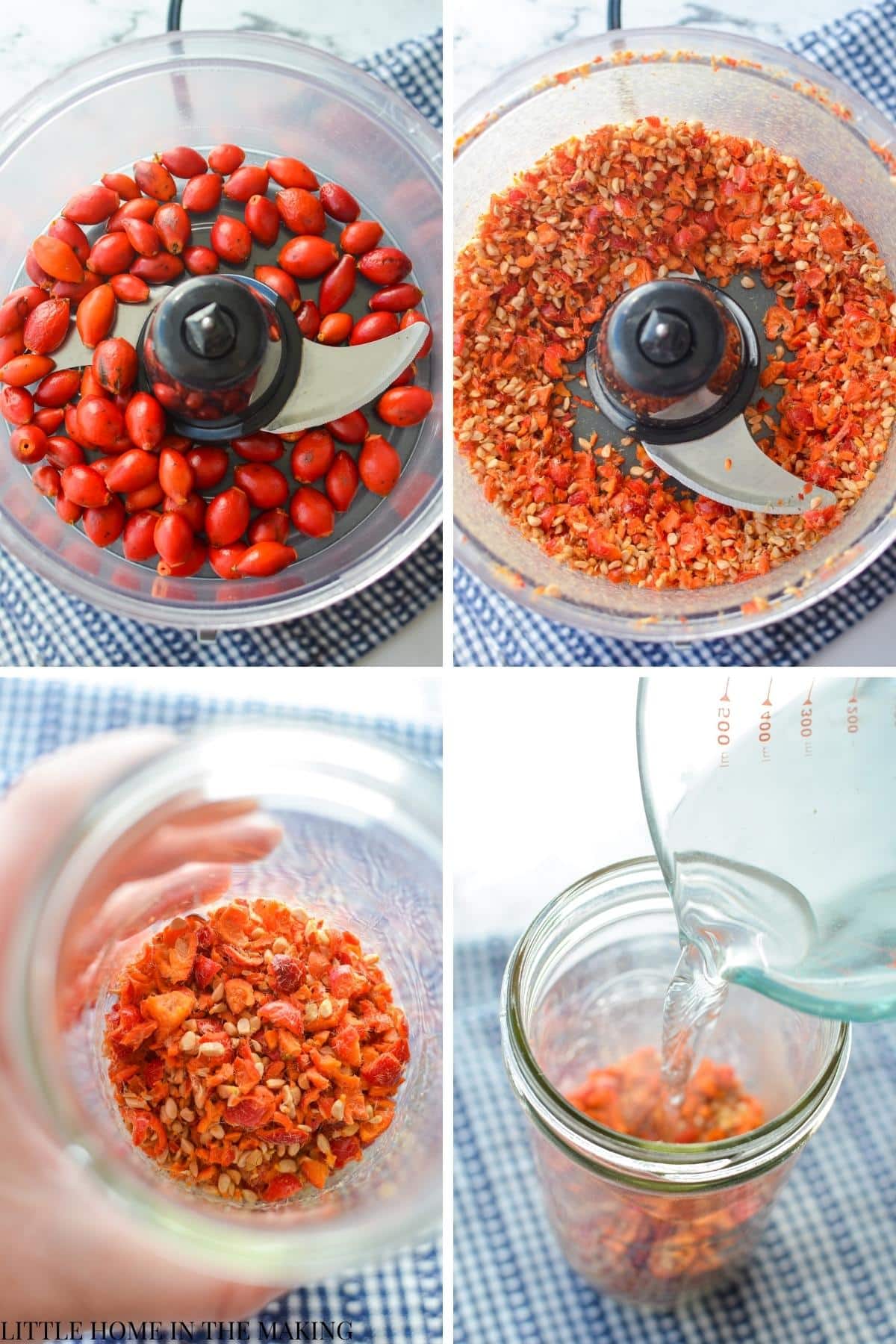 Grinding foraged rosehips into a mash using a food processor.