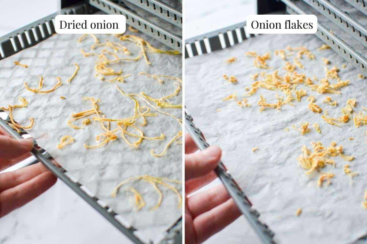 Removing sheets of dehydrated onions from a dehydrator.