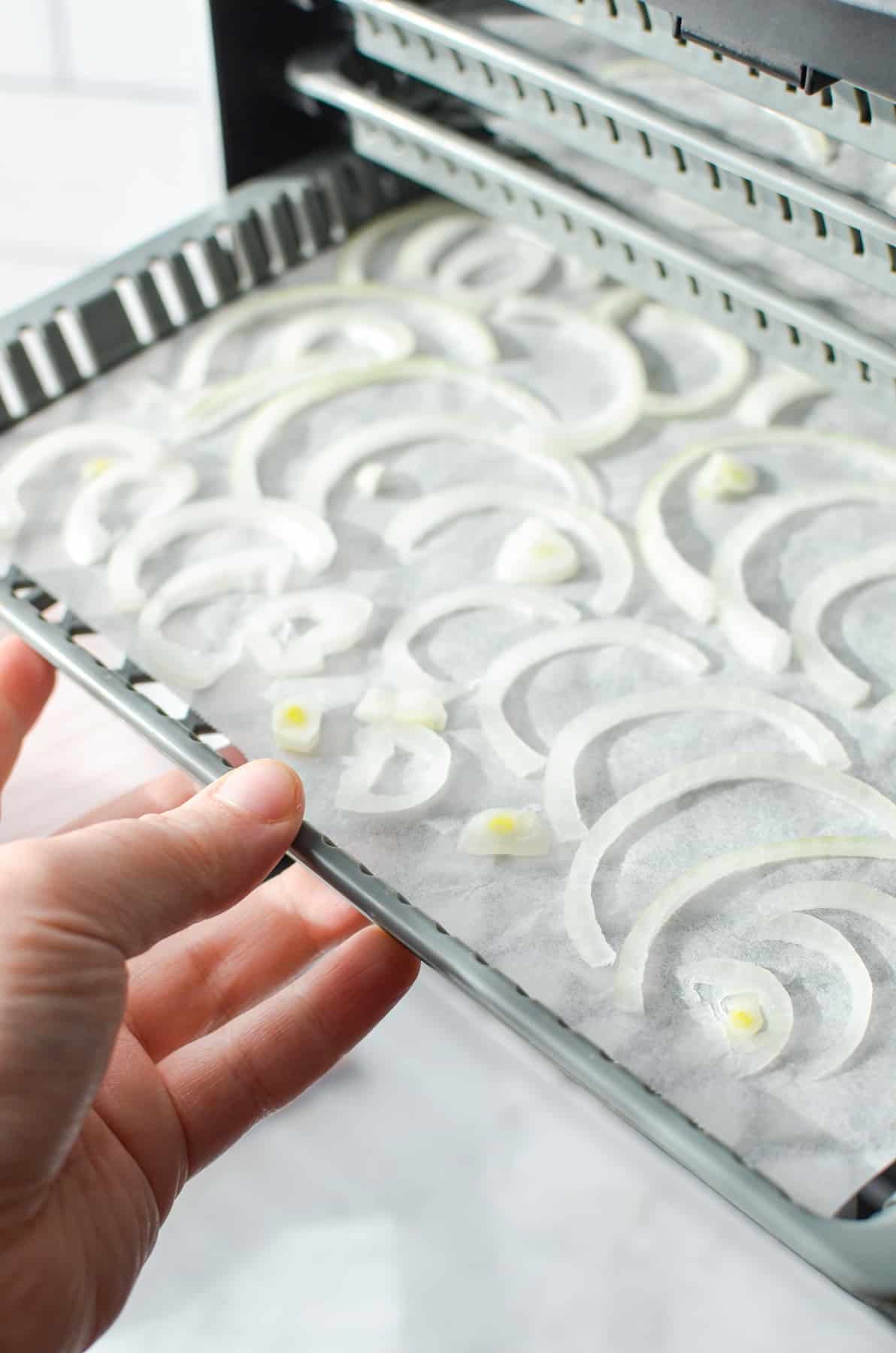 Inserting a dehydrator tray of sliced onions into a dehydrator.