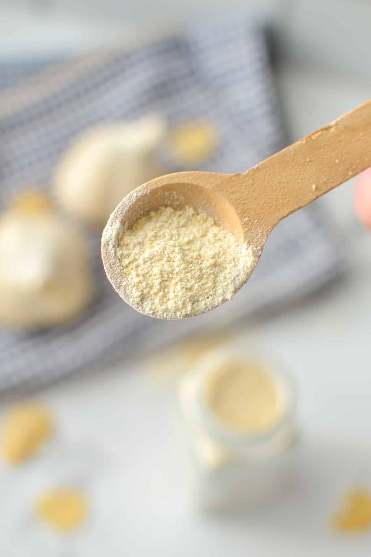 A wooden spoon holding up garlic powder.