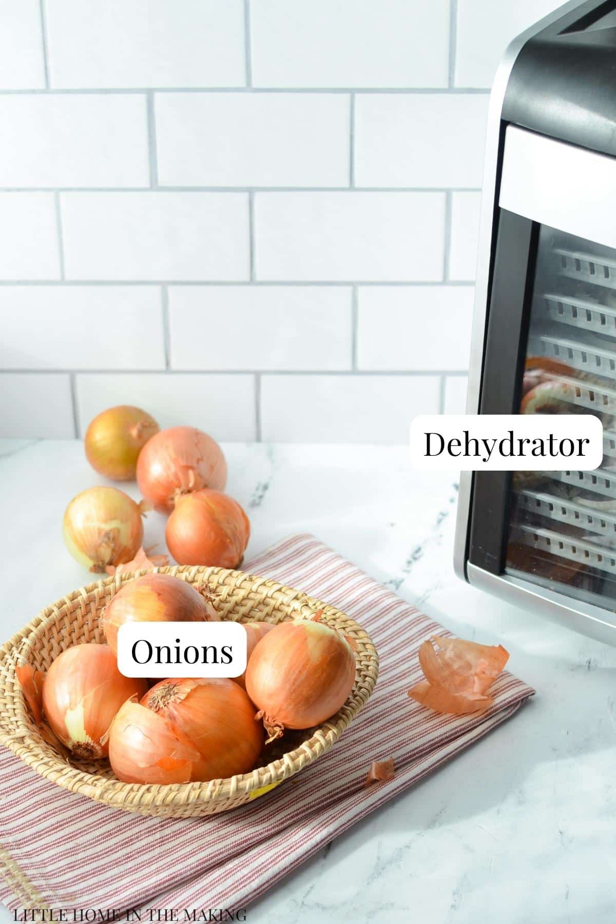 A counter with a bowl of onions and a dehydrator just out of view.