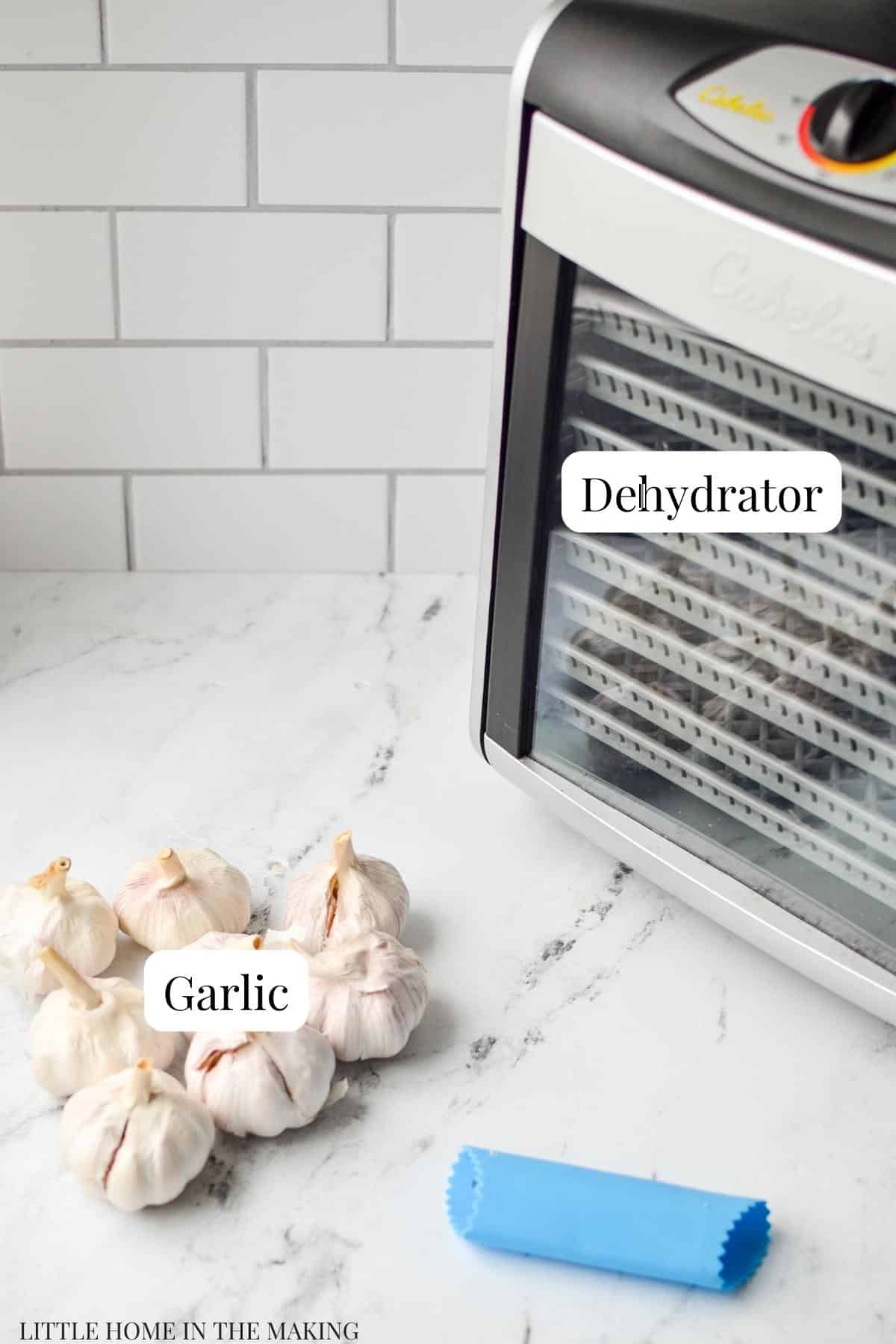 A dehydrator on a counter, with a pile of garlic to the side.