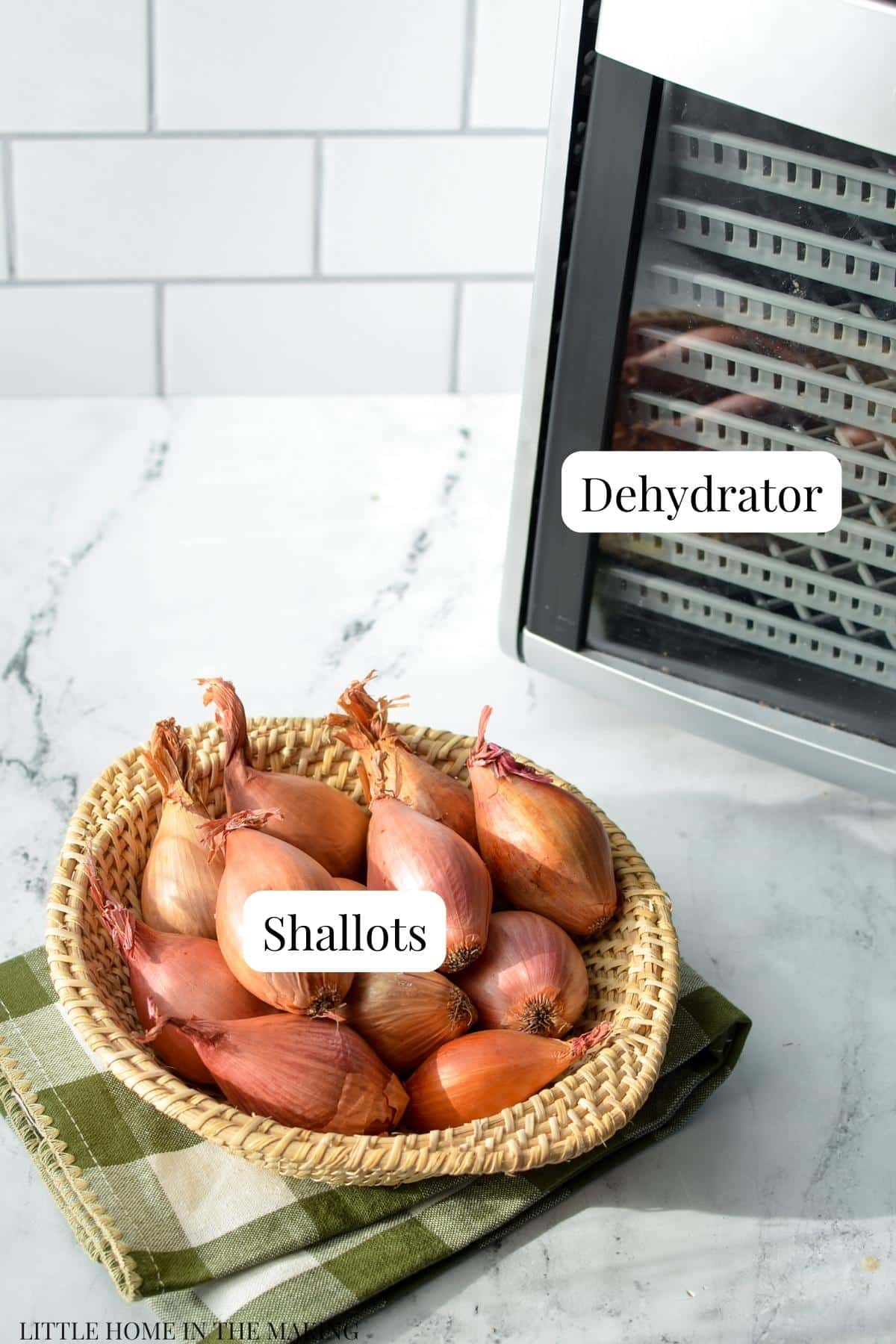 A dehydrator with a basket of shallots in front.