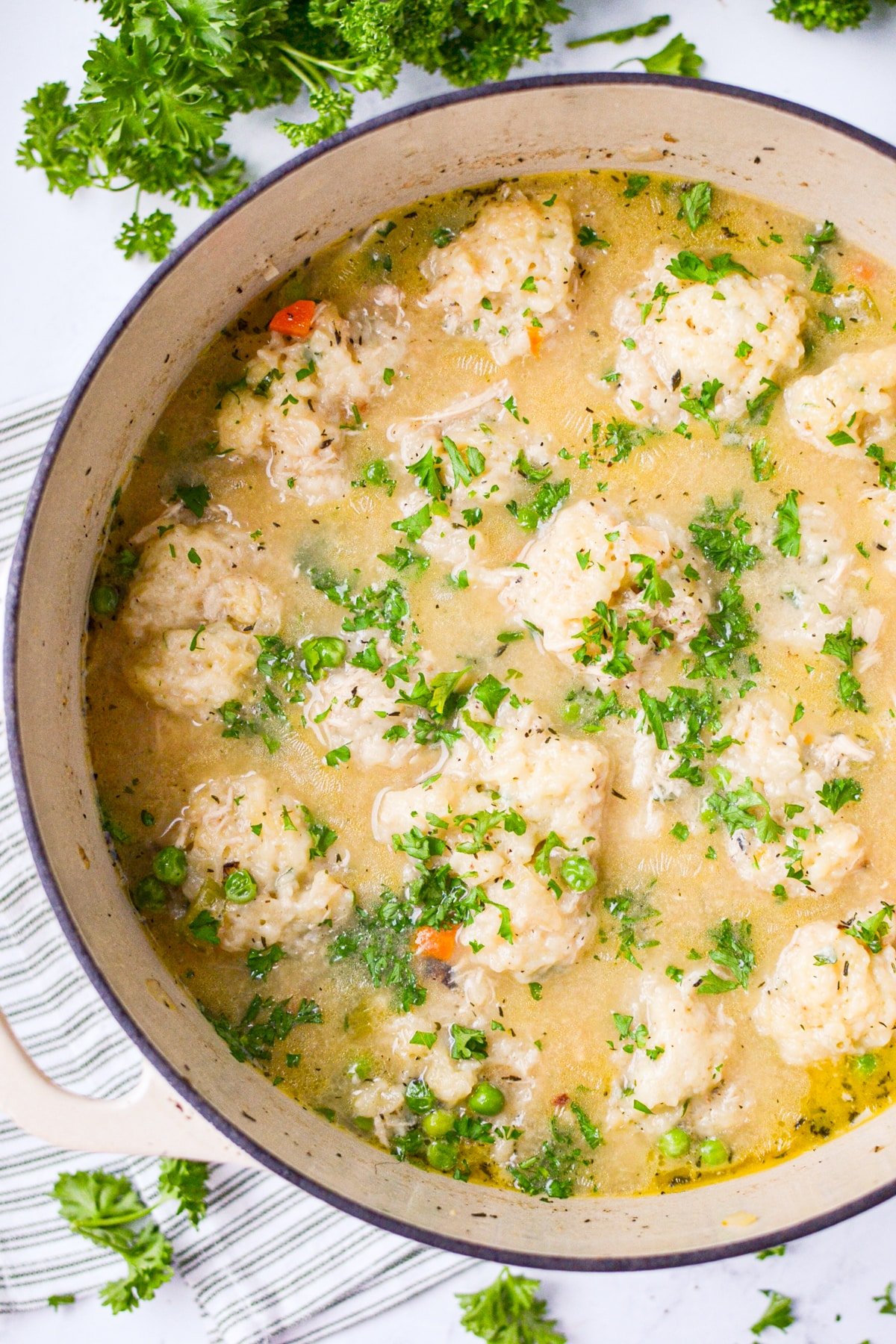 A Dutch Oven filled with chicken stew and topped with dumplings.