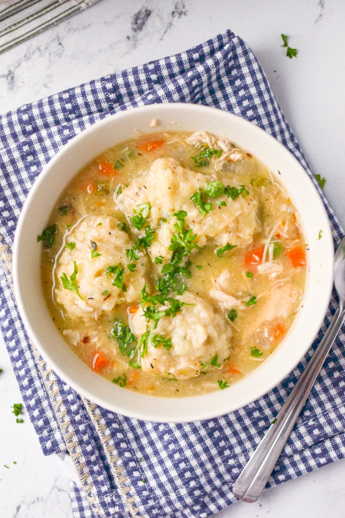 A bowl of homemade chicken and dumplings.