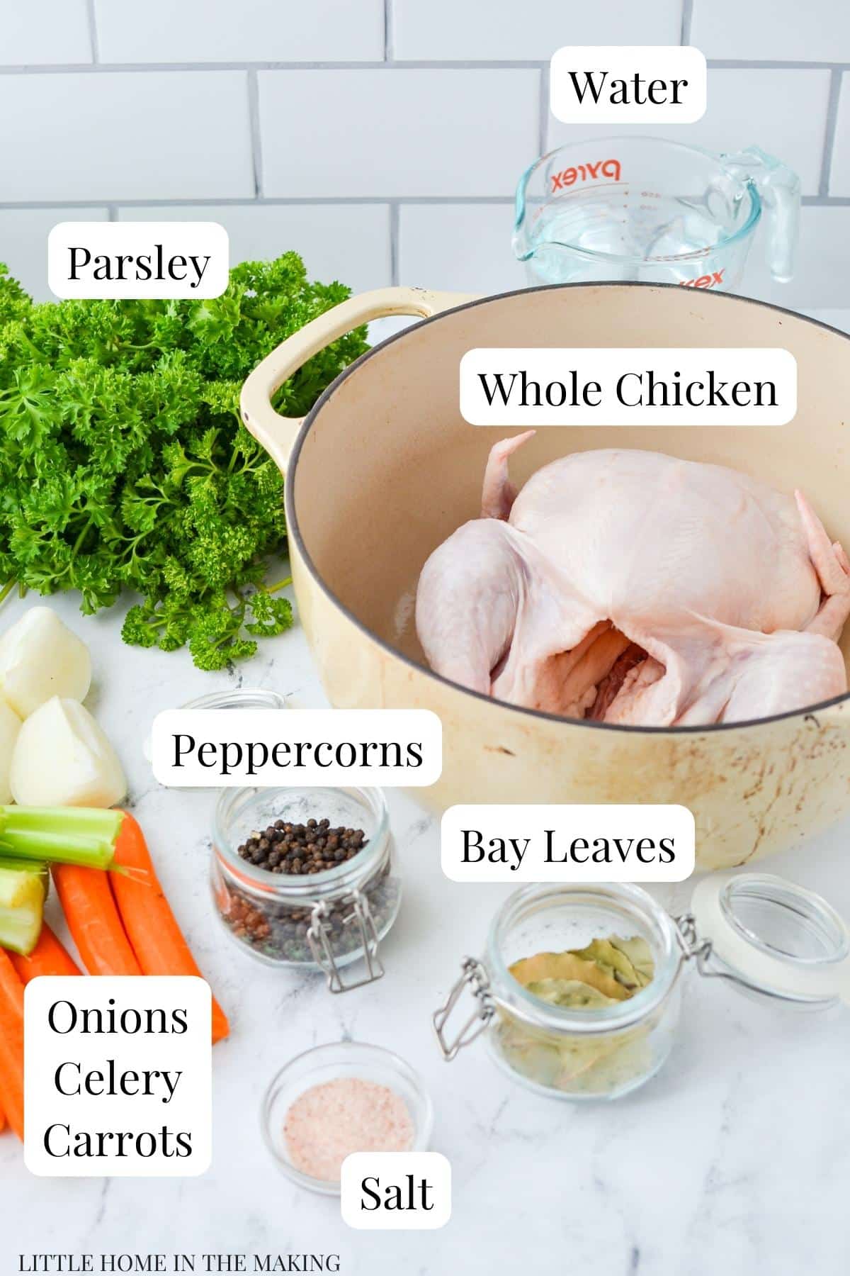 The ingredients needed to make homemade chicken broth: chicken, water, vegetables, parsley, bay, peppercorns, salt.