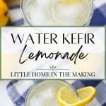 A class with water kefir, garnished with a lemon slice.