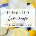 A glass of homemade lemonade garnished with a lemon slice.