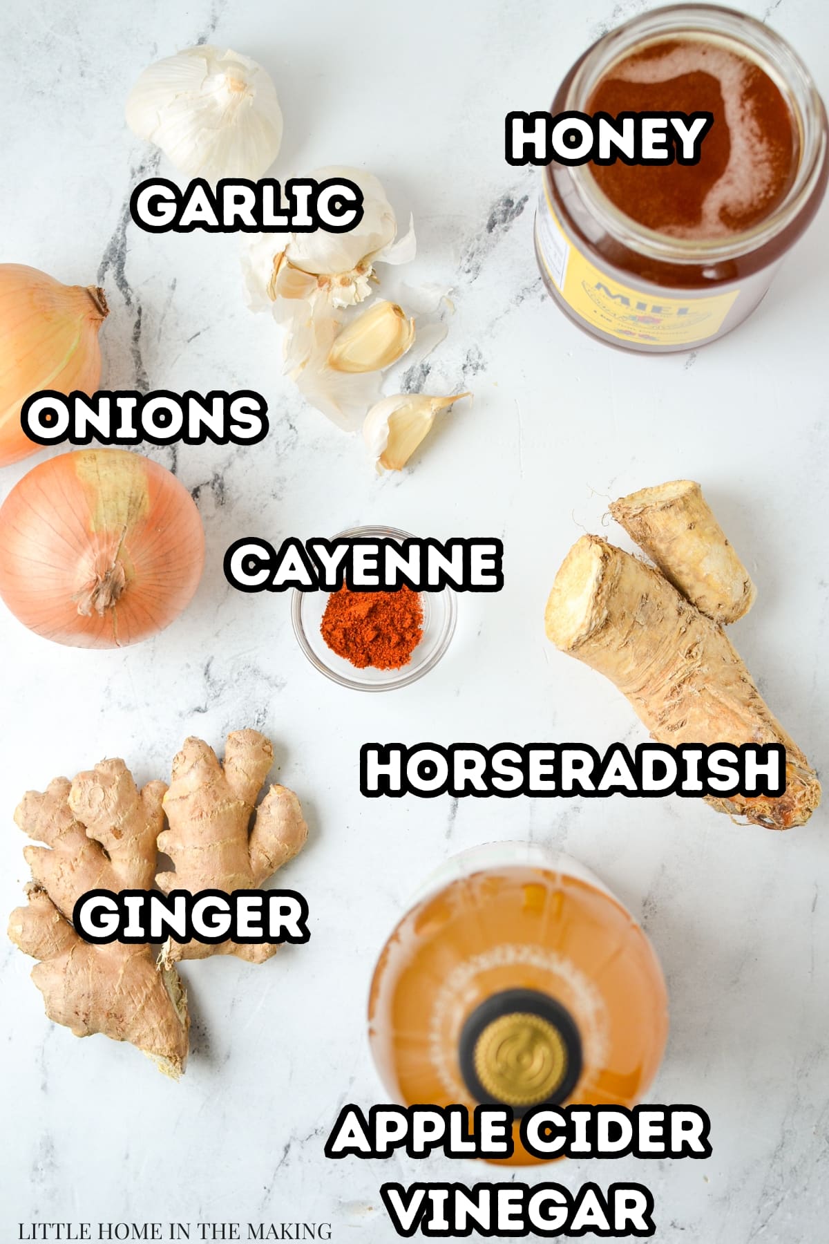 The ingredients needed to make fire cider: ginger, apple cider vinegar, horseradish, cayenne, onions, garlic, and honey.
