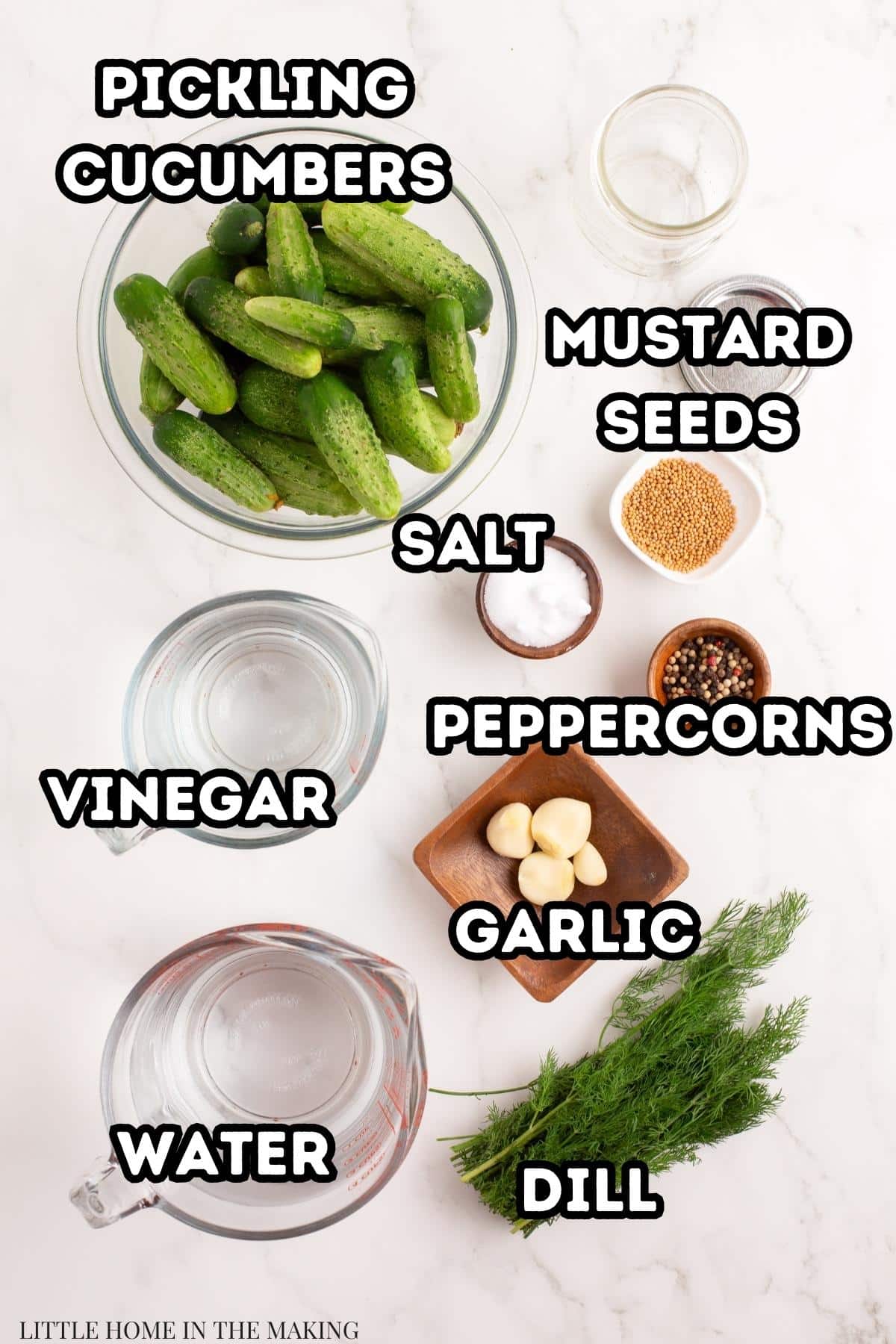 The ingredients needed to make refrigerator dill pickles: cucumbers, dill, garlic, water, vinegar, spices, etc.