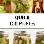 A fork takes a pickle chip from a jar of dill pickles. The text reads: "Quick Dill Pickles"