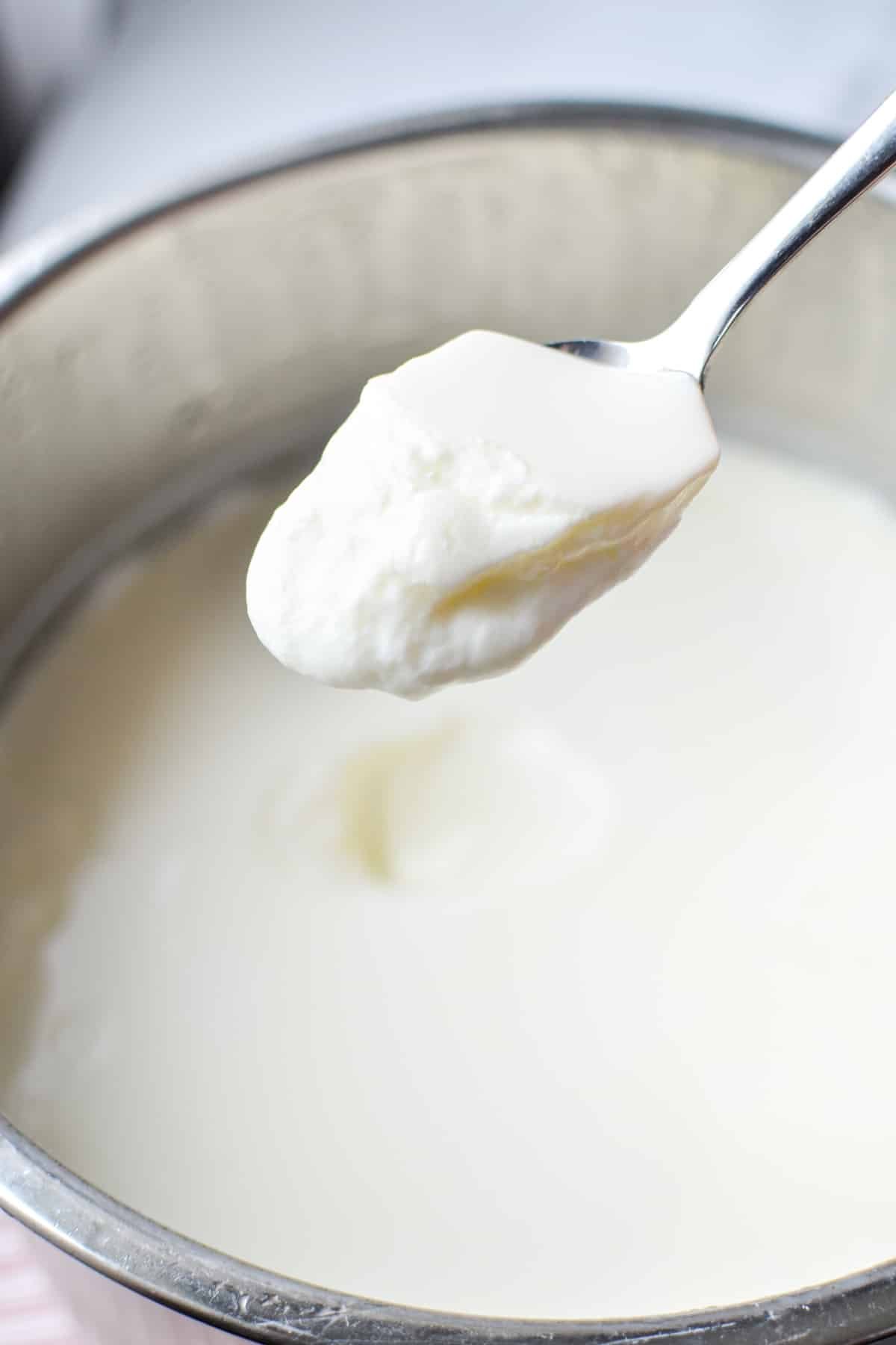 A spoonful of yogurt from an Instant Pot.