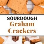 Scattered graham crackers on a wire cooling rack.