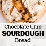 A round boule of chocolate chip sourdough bread on a round cutting board.
