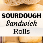 A baking sheet with sourdough sandwich rolls baked on parchment.