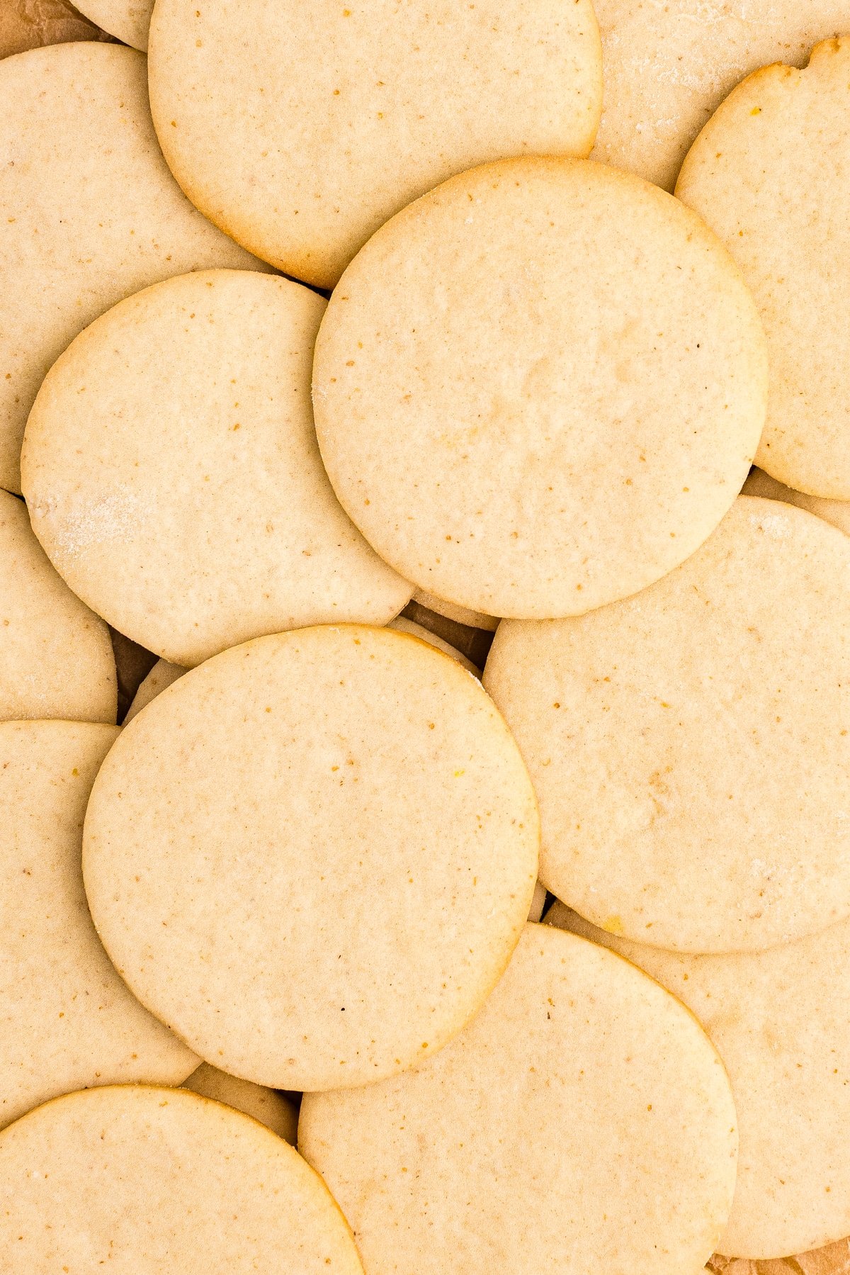 Layers of plain sugar cookies stacked together.